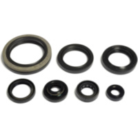 Shaft seal set athena P400510400032