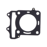 Cylinder head gasket (orig spare part) 1053902