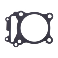 Cylinder base gasket (orig spare part) 1053911
