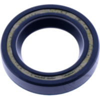 Shaft seal 01034676B
