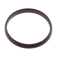 Intake gasket (orig spare part) 1074170