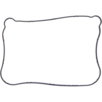 Valve cover gasket lower (orig spare part) 1074188
