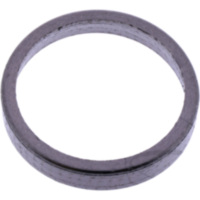 Exhaust gasket (orig spare part) 1074193