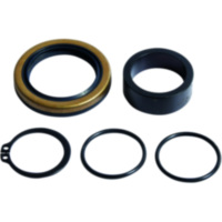 Output shaft repair kit all balls racing 254047