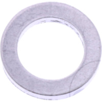 Sealing ring (orig spare part) 1096649