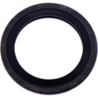 Sealing ring (orig spare part)