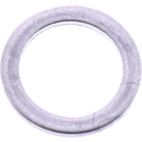 Sealing ring (orig spare part) 1096654