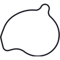 Water pump cover gasket oe spare part 1109069