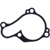 Water pump cover gasket oe spare part 1109099