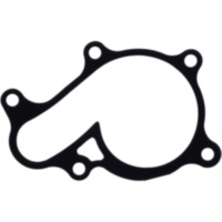 Water pump cover gasket oe spare part 1109104
