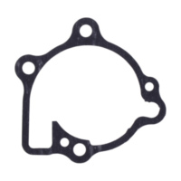 Water pump cover gasket oe spare part 1109110