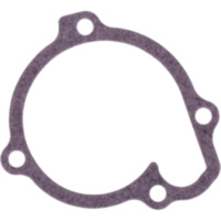 Water pump cover gasket oe spare part 1109125