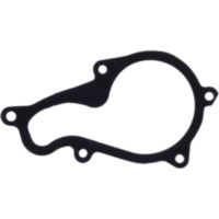 Water pump cover gasket oe spare part 1109126