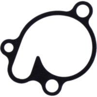 Water pump cover gasket oe spare part 1109139