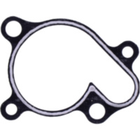 Water pump cover gasket oe spare part 1109140