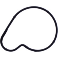 Water pump cover gasket oe spare part 1109153