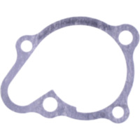 Water pump cover gasket oe spare part 1109196