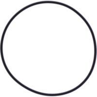 O-Ring 1.5X53MM Athena