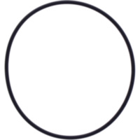 O-ring 2x65mm athena