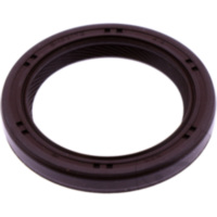 Shaft seal 19027776B