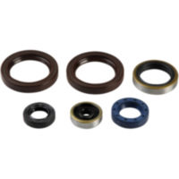 Engine oil seal kit P400270400015