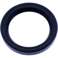 Shaft seal 12010943B