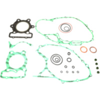 Complete gasket / seal kit P400210850257