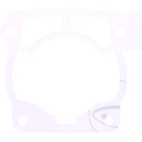 CYLINDER BASE GASKET 0.25 (OE SPARE PART)
