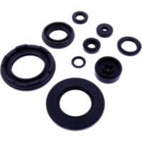 OIL SEAL KIT TOURMAX 8060