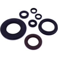 OIL SEAL KIT TOURMAX 8067