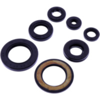 OIL SEAL KIT TOURMAX 8068