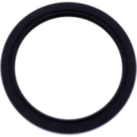 OIL SEAL 45X55X4MM (OE SPARE PART)