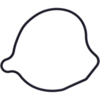 WATER PUMP COVER GASKET ORIGINAL SPARE PART 8387