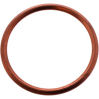 EXHAUST GASKET (OE SPARE PART) 8975