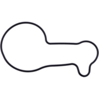 WATER PUMP COVER GASKET ATHENA 9206