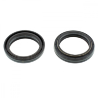 Fork oil seal kit 55117