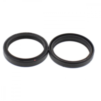 Fork oil seal kit 110014800402