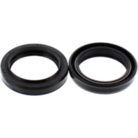 Fork oil seal kit 110013600102