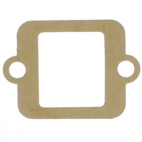 Gasket intake 3042