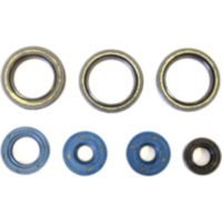 Engine oil seal kit P400010400013