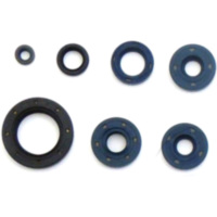 Engine oil seal kit P400070400001