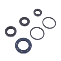 Shaft seal set athena P400210400053