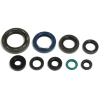 Engine oil seal kit P400210400126