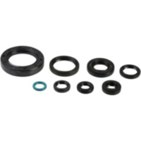 Engine oil seal kit P400210400252