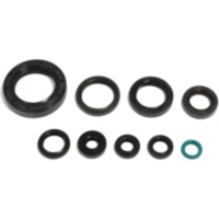 Engine oil seal kit P400210400250