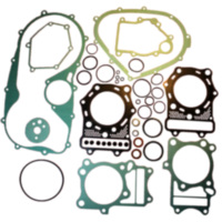 Complete gasket / seal kit P400250870027