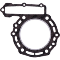 Cylinder head gasket S410250001037