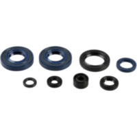 Engine oil seal kit P400250400008