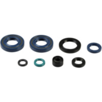 Engine oil seal kit P400250400082