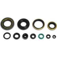 Engine oil seal kit P400250400256